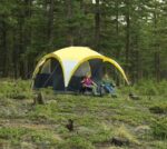 Carpa / Toldo Coleman 2 en 1 ALL DAY 2 personas - Imagen 4